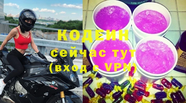 винт Абаза