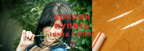 винт Абаза