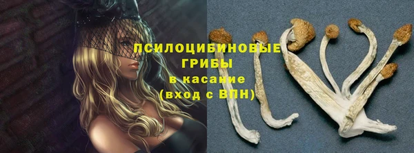 хмурый Абдулино